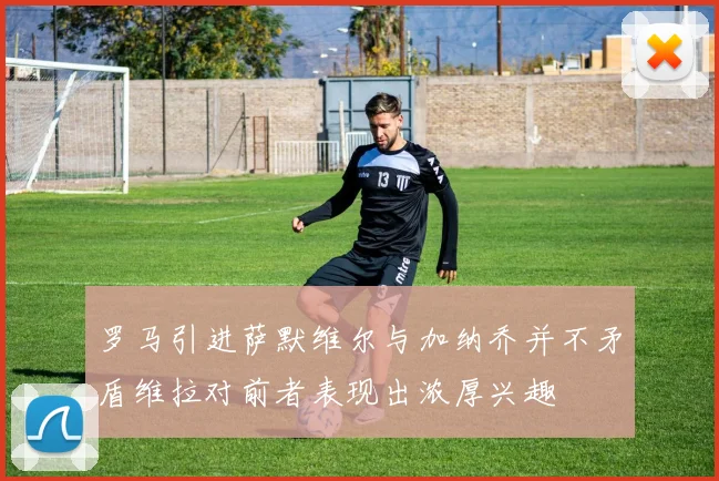 罗马引进萨默维尔与加纳乔并不矛盾维拉对前者表现出浓厚兴趣