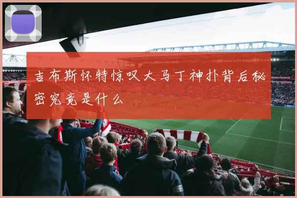 吉布斯怀特惊叹大马丁神扑背后秘密究竟是什么