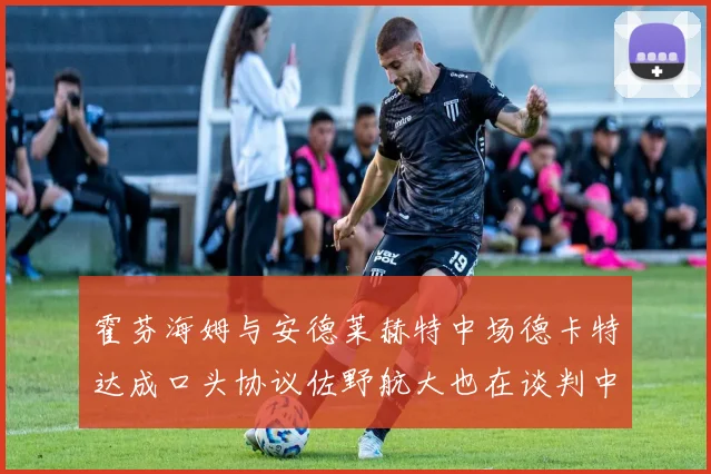 霍芬海姆与安德莱赫特中场德卡特达成口头协议佐野航大也在谈判中